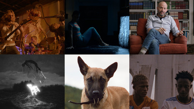 Shorts: Life Cycles