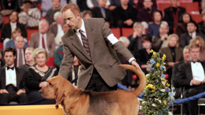 Best in Show 25th Anniversary